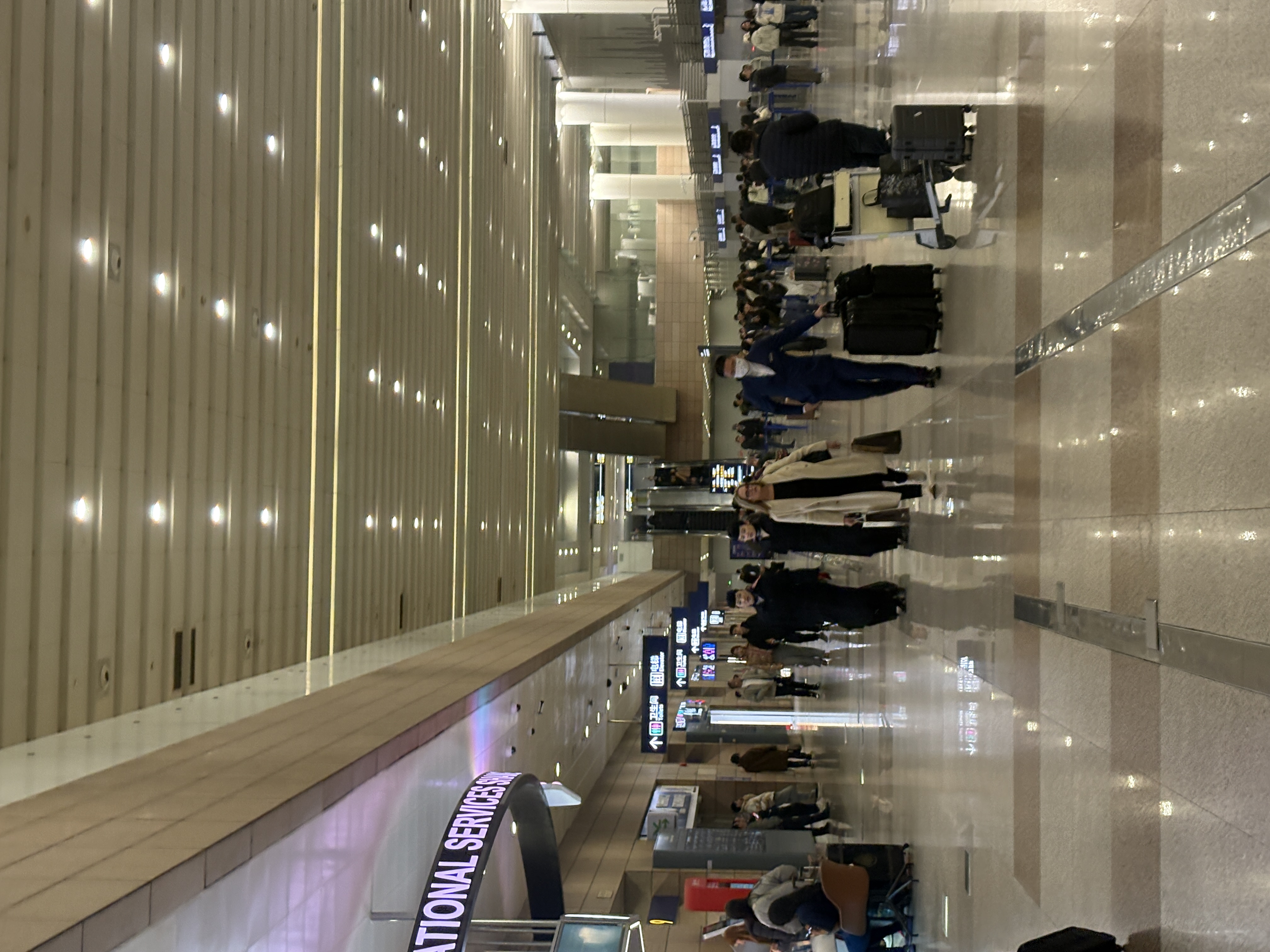 Image Alt 텍스트