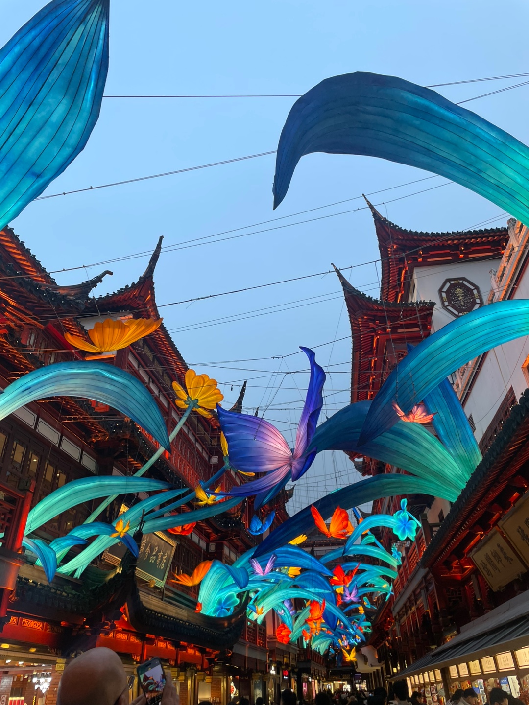 Image Alt 텍스트